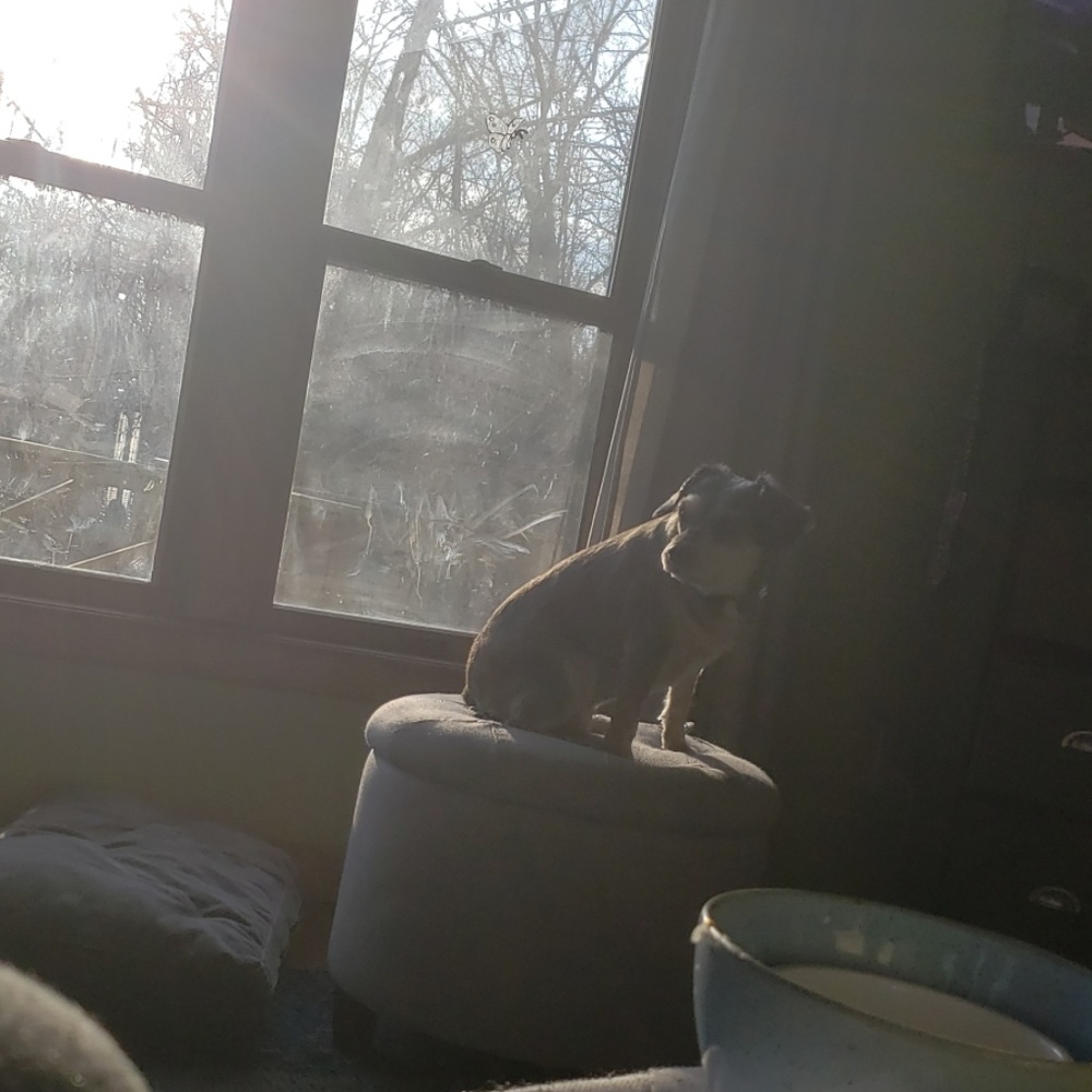 Meet your Posher, Ethan